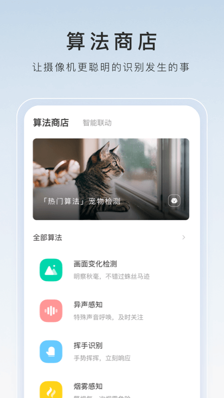 女士连裤袜子夏季薄款截图